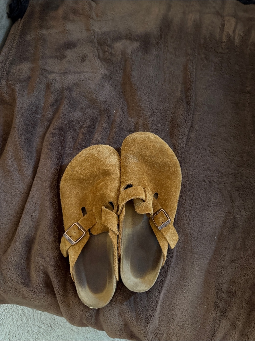 Birkenstock Boston Clogs in Mink Suede